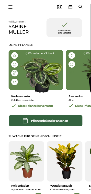 Mauk Website Desktop-Ansicht