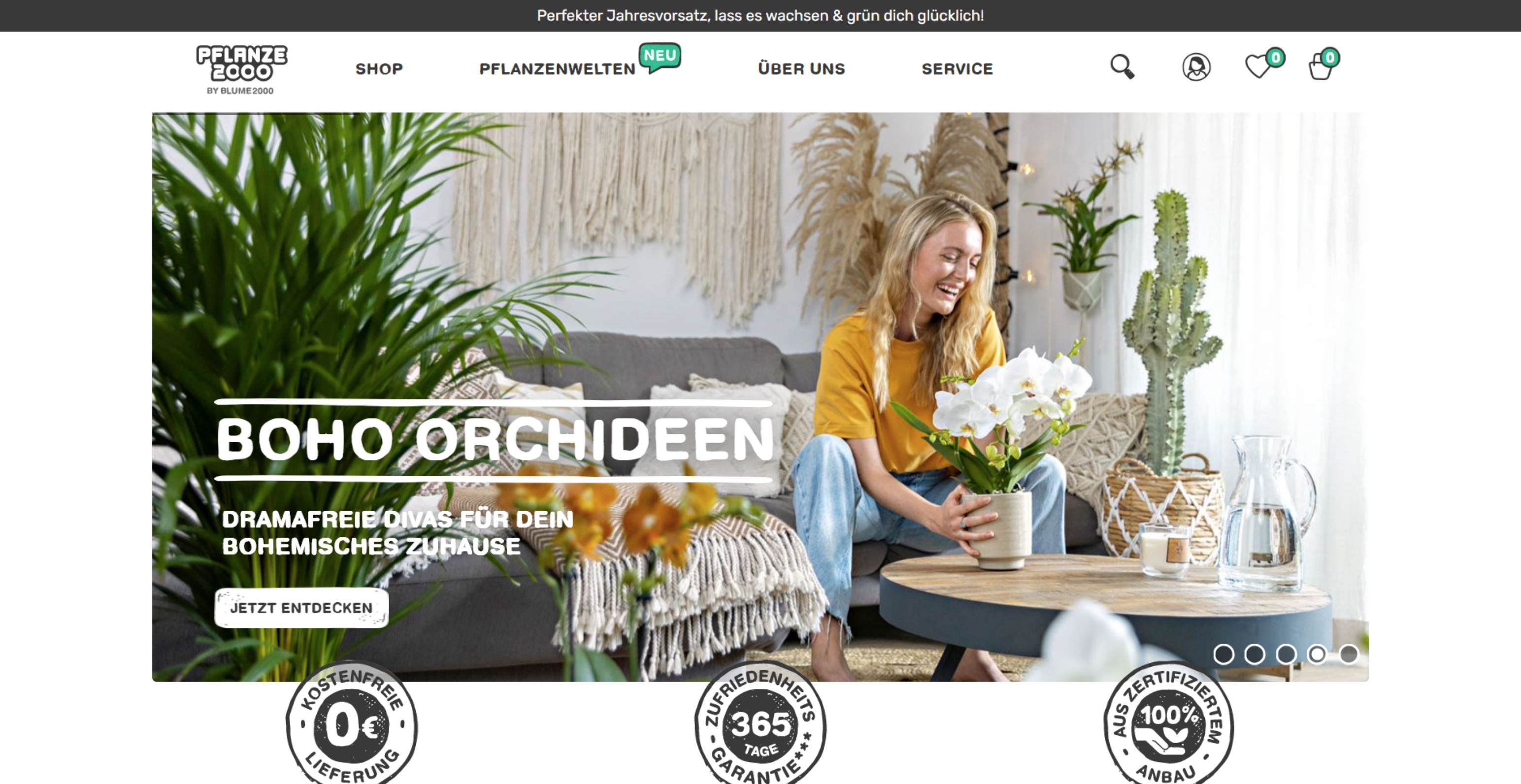 Mauk Website Desktop-Ansicht